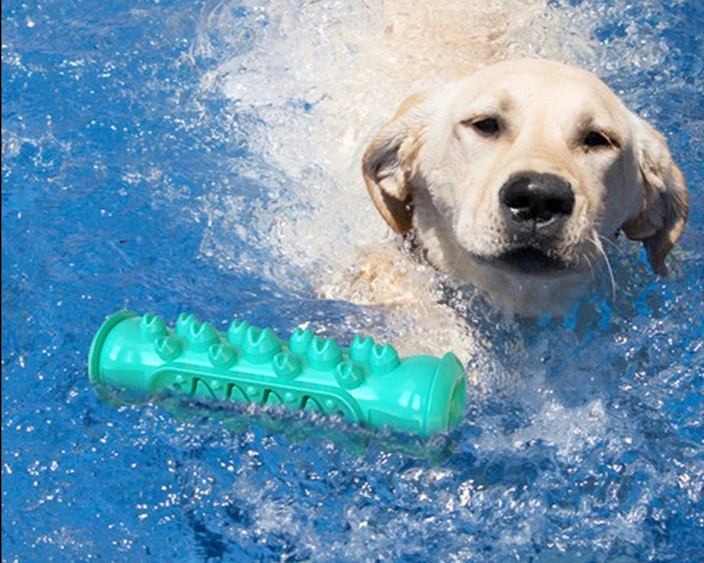 Brinquedo Interativo para cães pequenos.