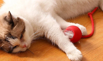 Pelotas interactivas para gatos