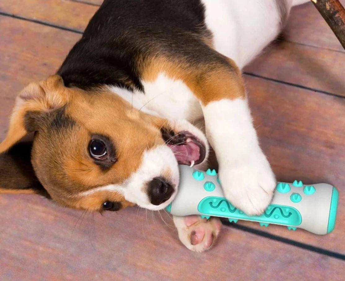 Brinquedo Interativo para cães pequenos.